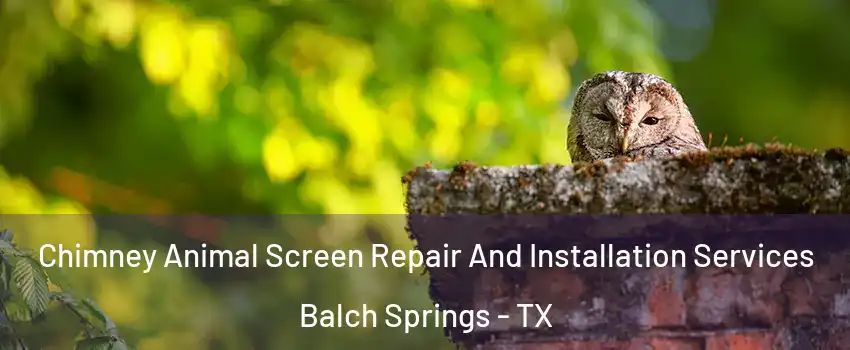  Chimney Animal Screen Repair And Installation Services Balch Springs - TX