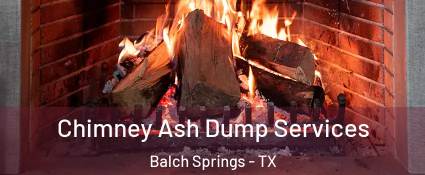  Chimney Ash Dump Services Balch Springs - TX