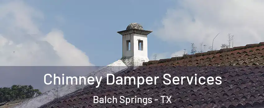  Chimney Damper Services Balch Springs - TX
