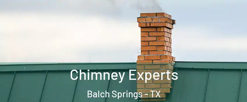 Chimney Experts Balch Springs - TX