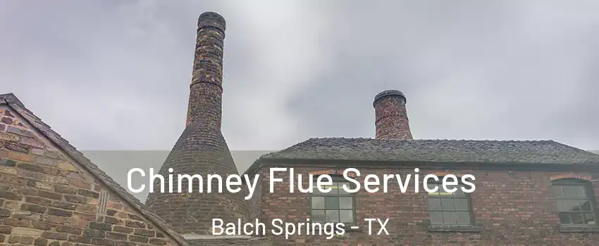  Chimney Flue Services Balch Springs - TX