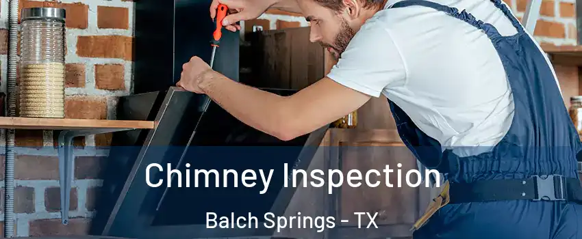  Chimney Inspection Balch Springs - TX