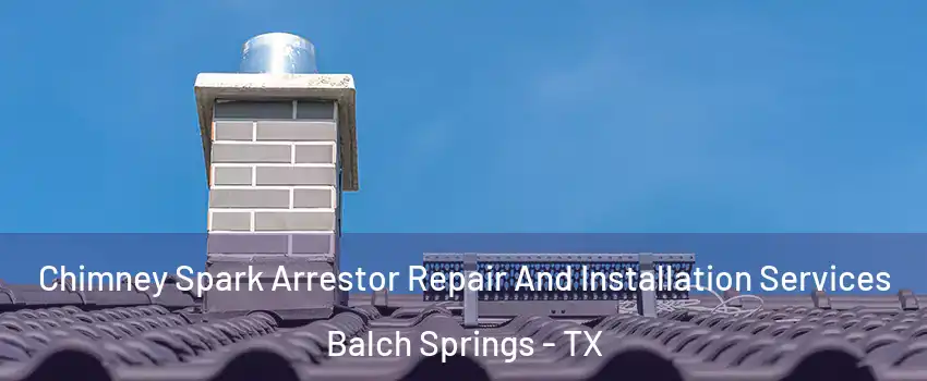  Chimney Spark Arrestor Repair And Installation Services Balch Springs - TX