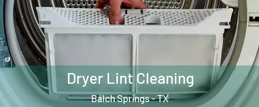  Dryer Lint Cleaning Balch Springs - TX