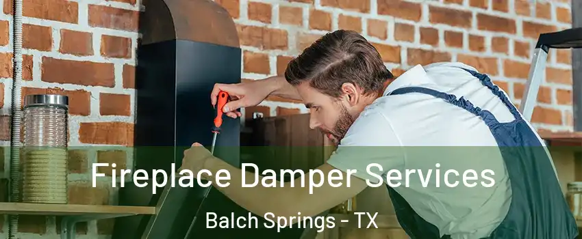  Fireplace Damper Services Balch Springs - TX