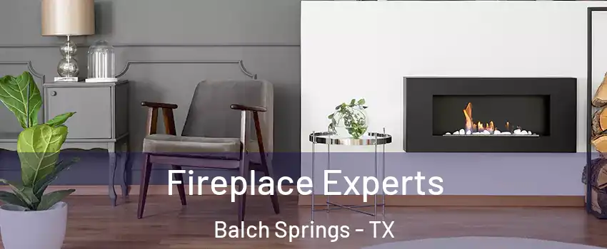  Fireplace Experts Balch Springs - TX