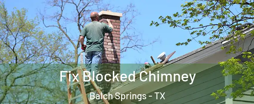  Fix Blocked Chimney Balch Springs - TX