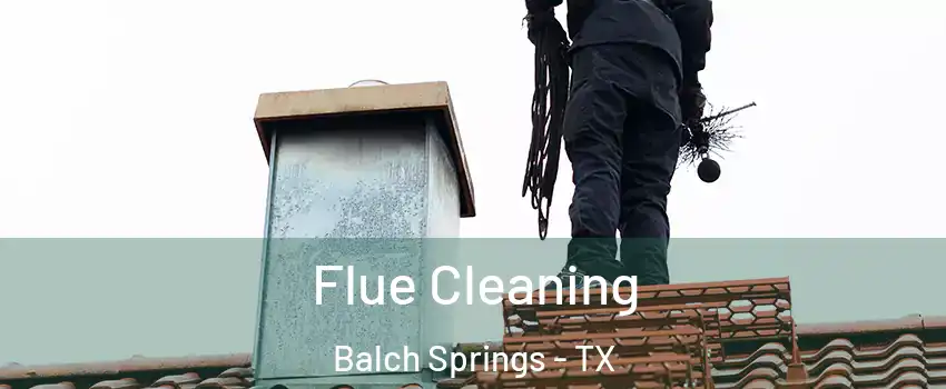  Flue Cleaning Balch Springs - TX