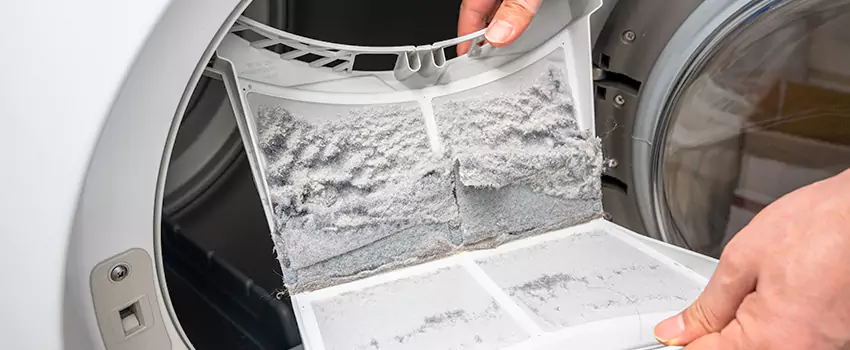 Best Dryer Lint Removal Company in Balch Springs, Texas