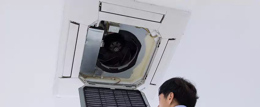 Benefits of Professional Air Duct Cleaning in Balch Springs, Texas