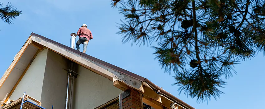 Birds Removal Contractors from Chimney in Balch Springs, TX