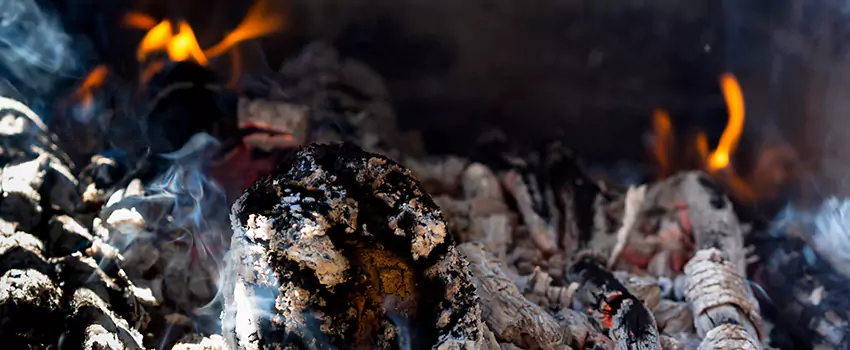 Creosote Removal Experts in Balch Springs, TX