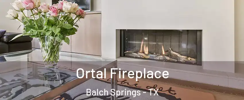  Ortal Fireplace Balch Springs - TX